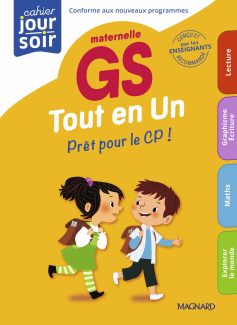 Tout en Un GS